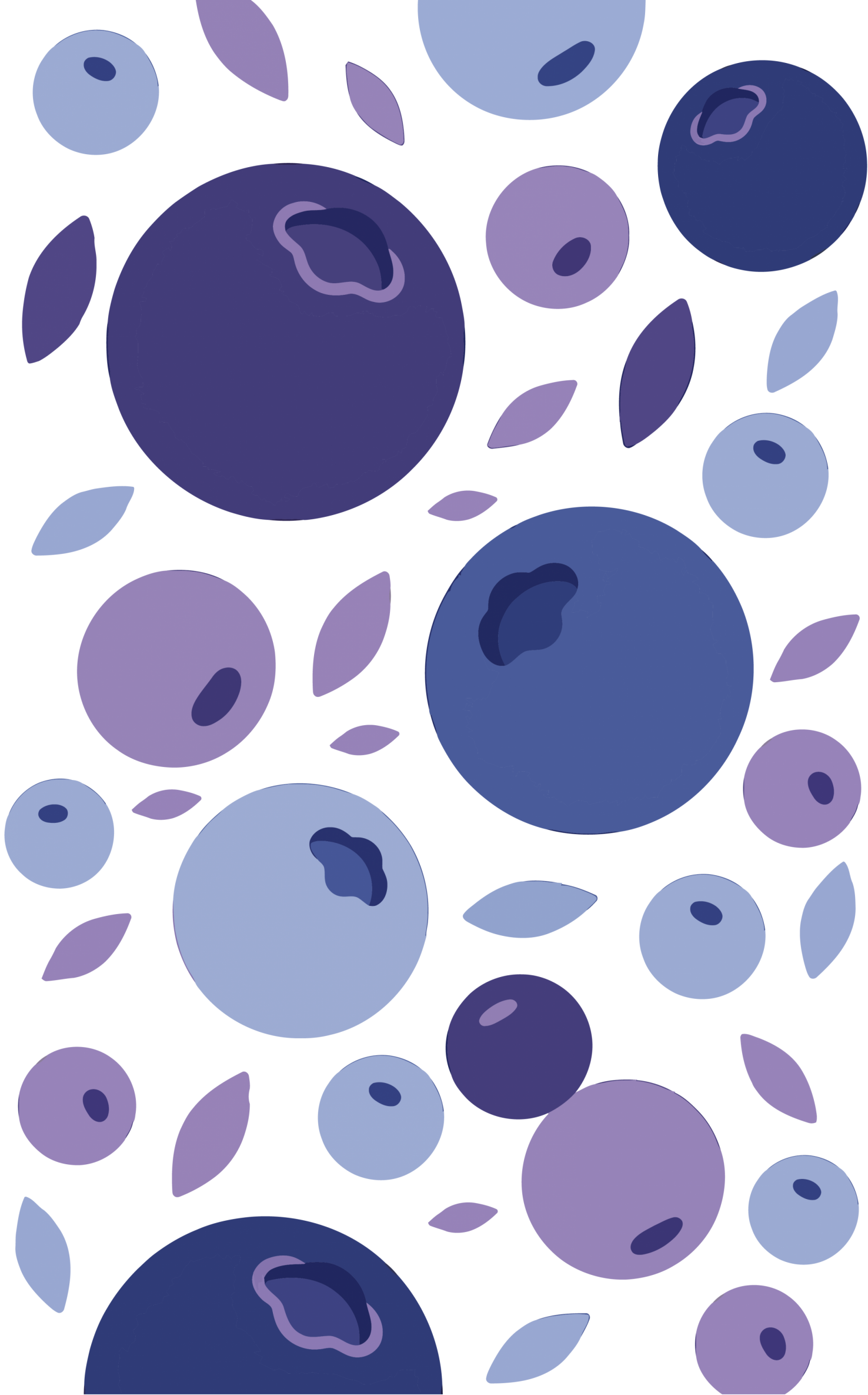 蓝莓