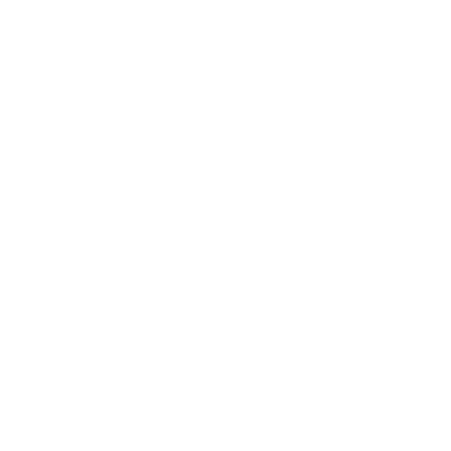狼